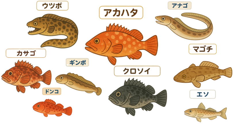 釣れる魚のイラスト